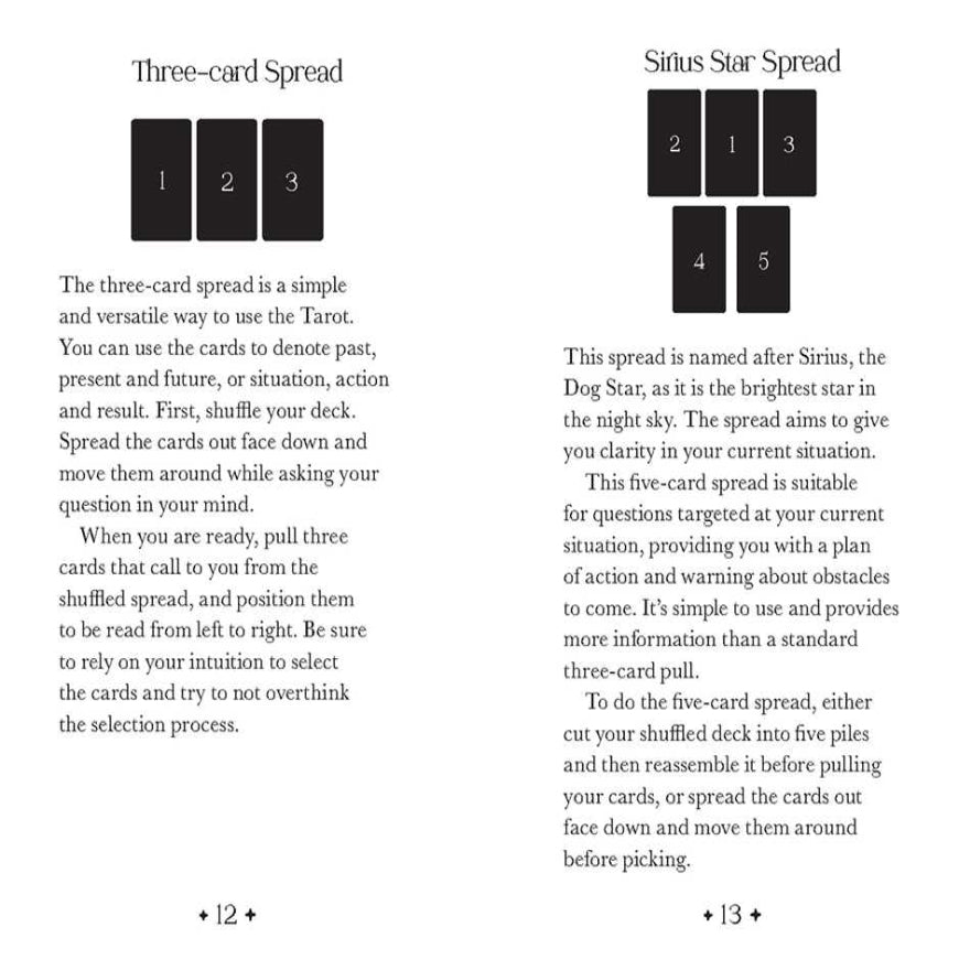 anima mundi tarot deck, oriens animal tarot review, anima mundi tarot linestrider tarotanimal tarot cards
