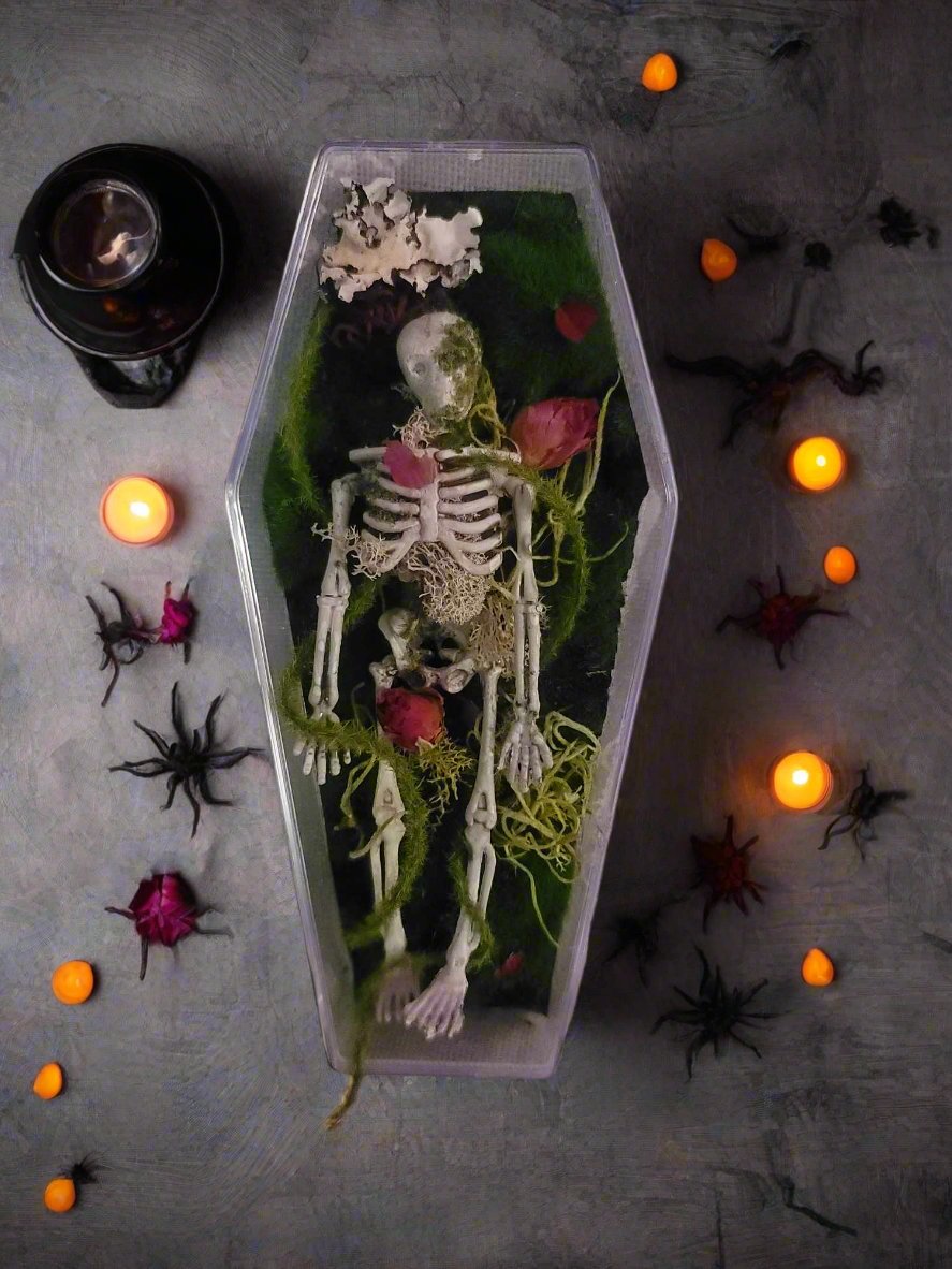 Halloween Coffin Decor