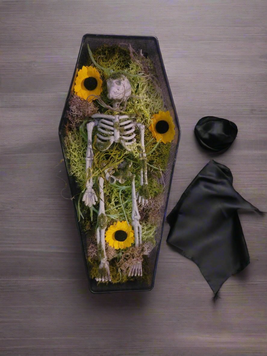 Halloween Coffin Decor