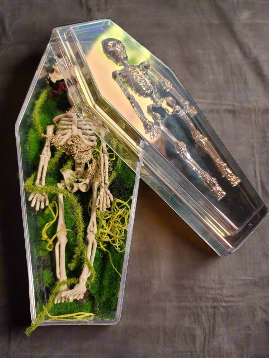 Halloween Coffin Decor