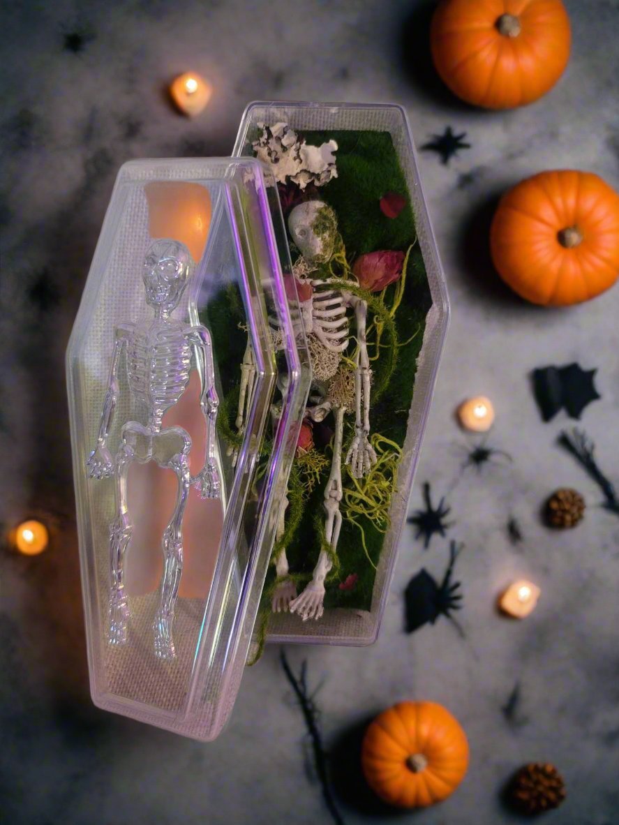 Halloween Coffin Decor