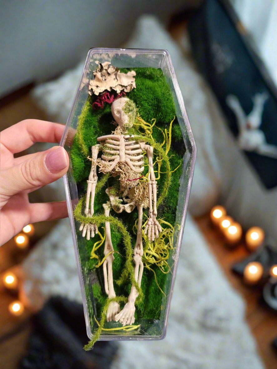 Halloween Coffin Decor