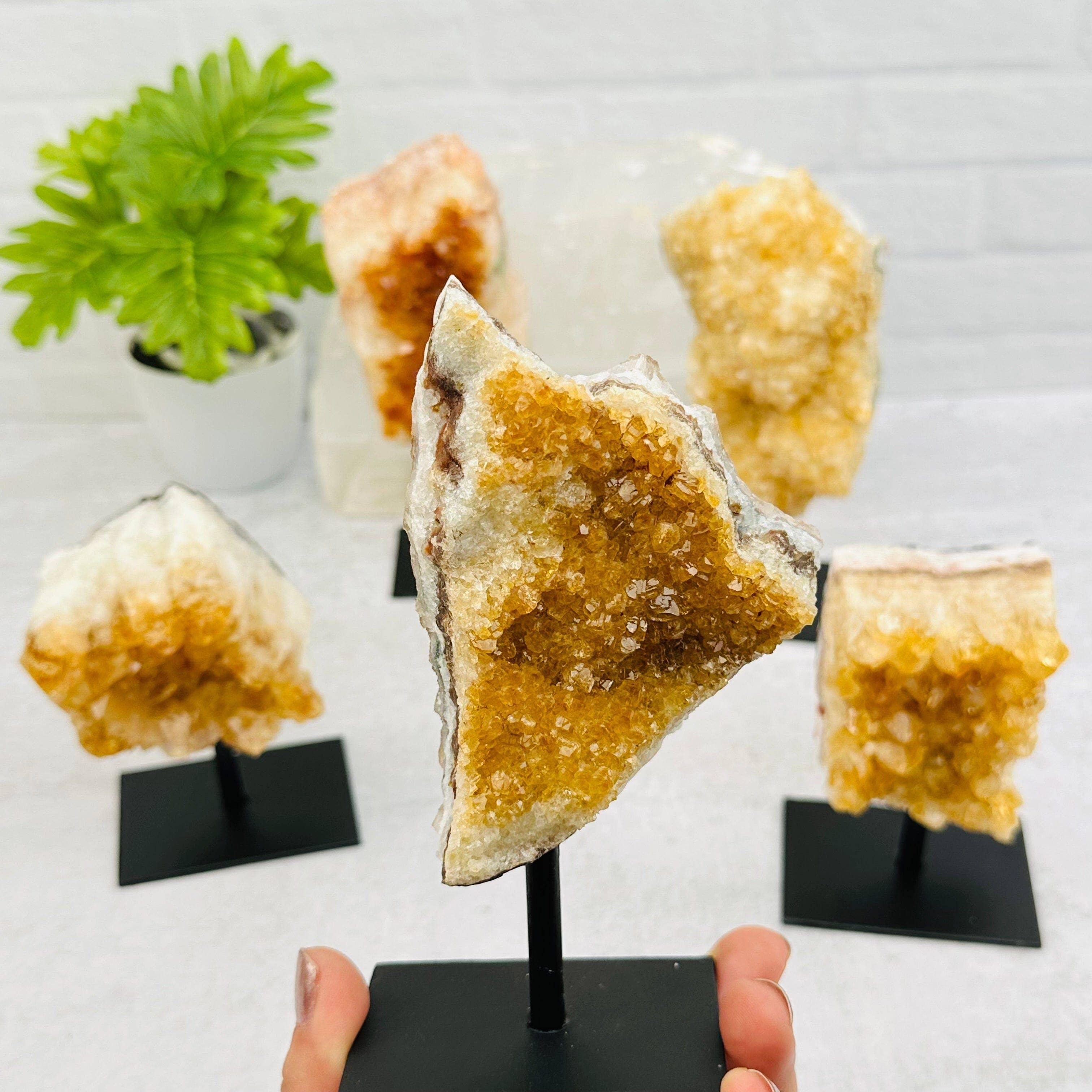 Citrine Cluster on Metal Stand - Crystal Healing - Home Dec - Classic Variable