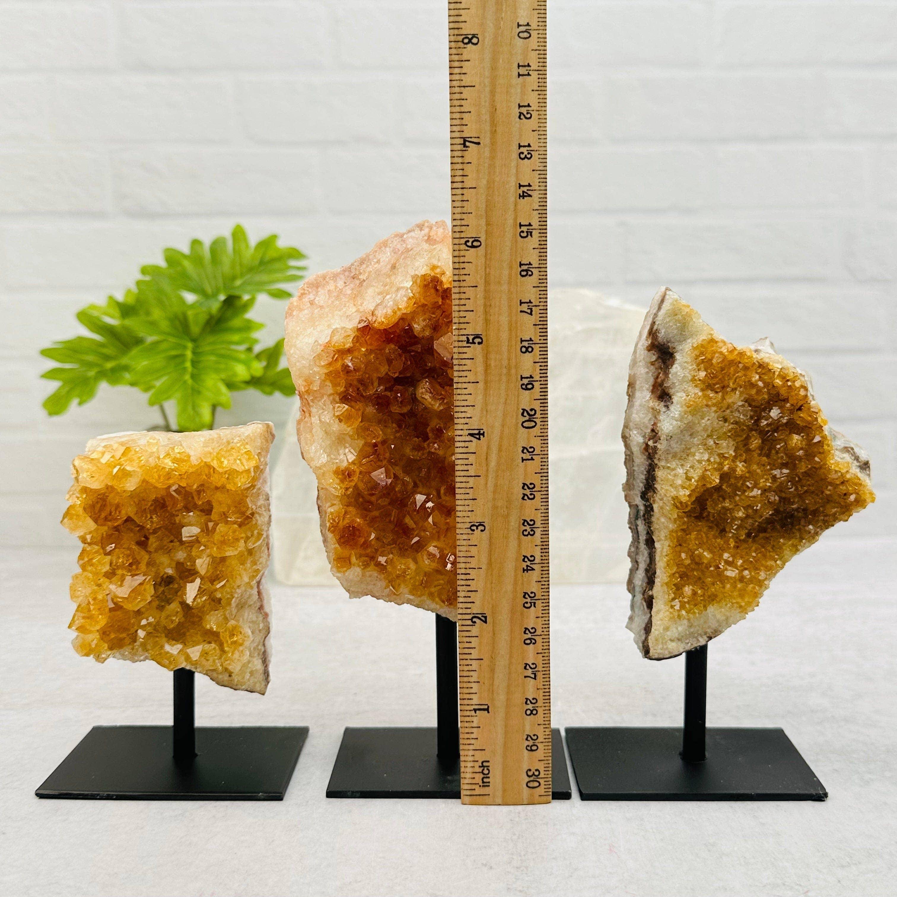 Citrine Cluster on Metal Stand - Crystal Healing - Home Dec - Classic Variable