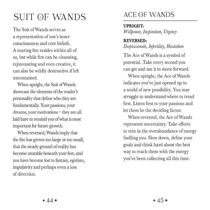 anima mundi tarot deck, oriens animal tarot review, anima mundi tarot linestrider tarotanimal tarot cards