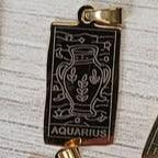 Collier zodiaque tarot en or