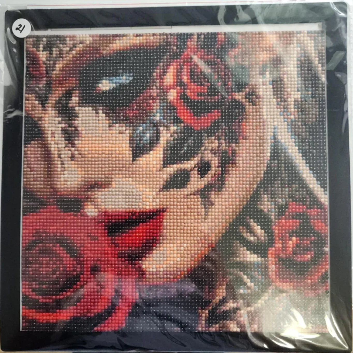 Diamond Art 30 x 30 cm Pictures w/Magnetic Frame