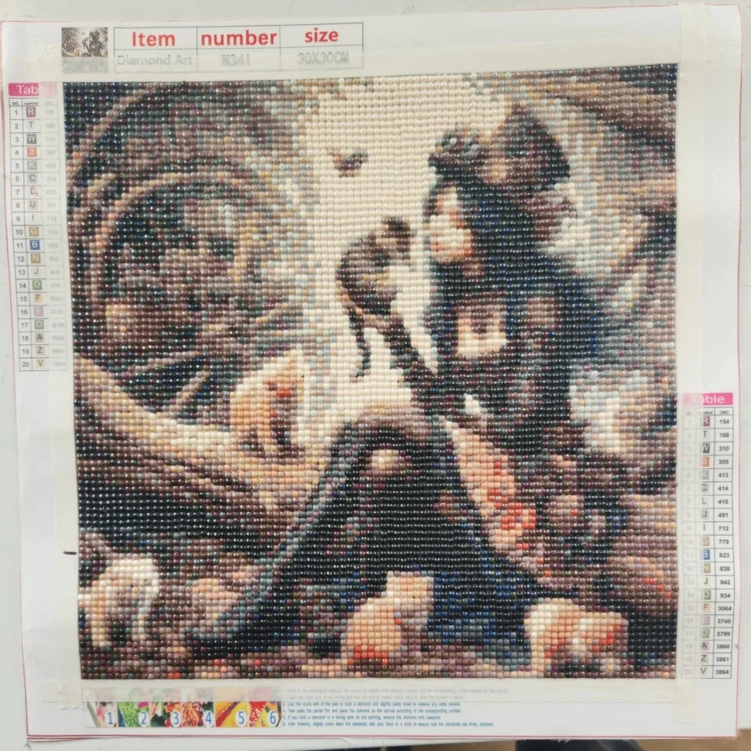Diamond Art 30 x 30 cm Pictures