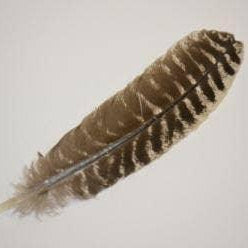 Turkey Smudge Feather - Classic Variable
